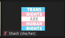 a picture of trans flag with the words Trans Rights are Human Rights